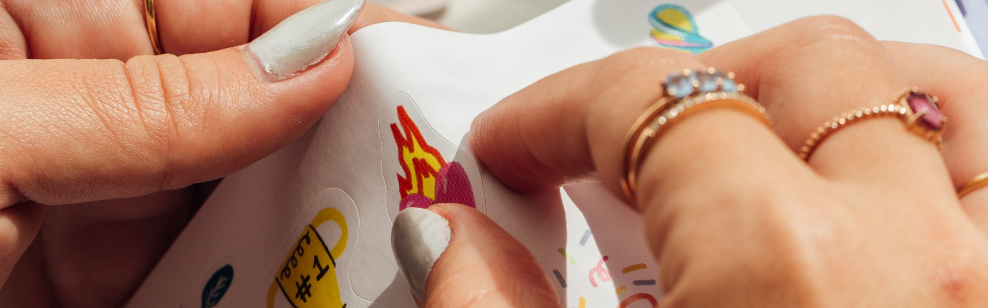 banner-el-orden.jpg