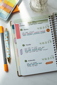 Bundle 2 agendas Regulares